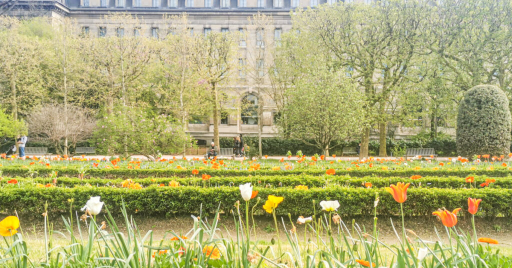 パリの植物園